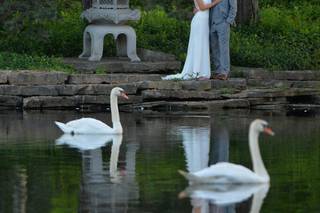 Victor Hilitski Photography Inc. - 13