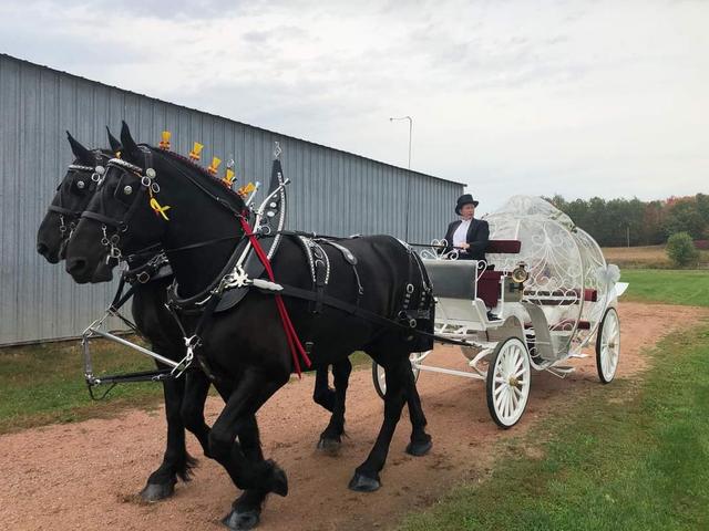 Cinderella Carriage LLC - 3