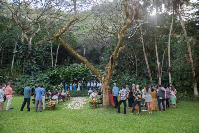 Waimea Valley 5