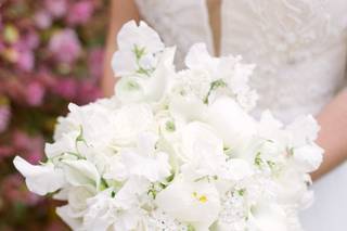 Anna Bright Eyed Photography - 38