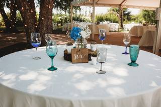 Carpe Diem Weddings and Events - 14