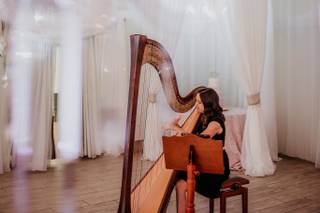 Harpist Rebecca Cosas - 6