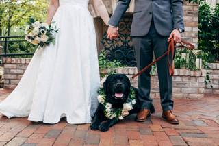 David Howell Photography - 12