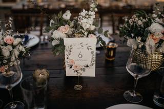 Cabo Wedding Services - 85