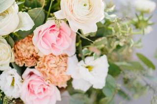 Tyler Speier Events - 14