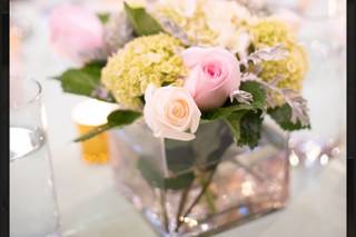 Arrica Lindsay Events - 6