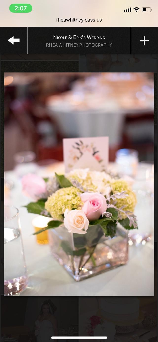 Arrica Lindsay Events - 2