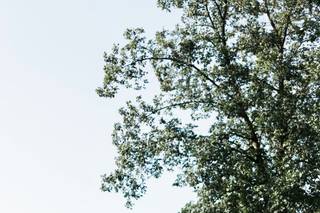 Levana Melamed Photography - 6