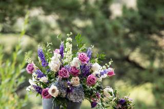 Rocky Mountain Wildflowers - 17