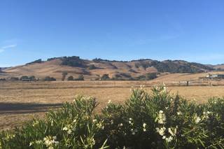 Rancho Nicasio - 32