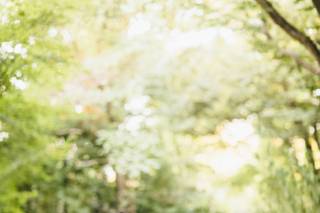Flavio D Photography - 10