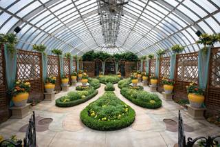 Phipps Conservatory - 20