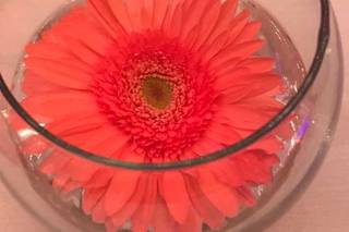 Floral Fantasy - 116