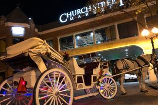Sweet Southern Horse & Carriage - 8