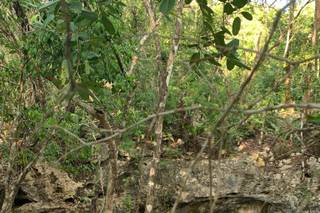 Destination Weddings Tulum - 72