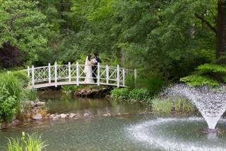 Margaret J Cotton Photography - 5