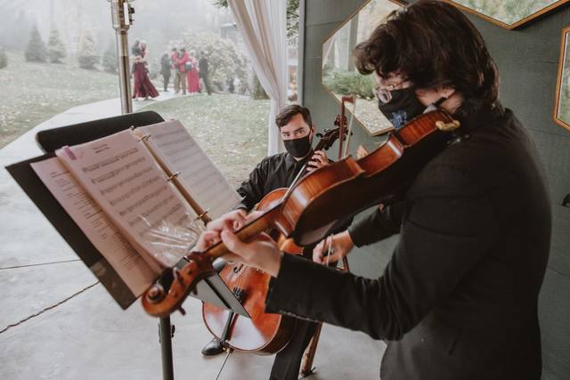 J&K Strings 5
