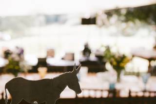 Your Event - Paula Smith Designs Inc. - 78