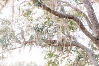 Cornelia Zaiss Photography - 62