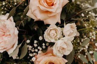 Stephanie J. Zamora Photography - 6