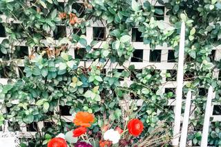 Miami Centerpieces, LLC - 167