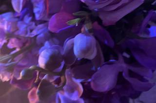 Jeri Solomon Floral Design - 7