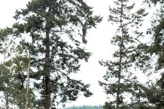 Rick Lash Photography - 14