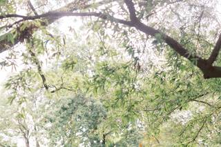 Schon Photography - 6