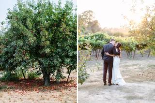 Megan Clouse Photography - 21