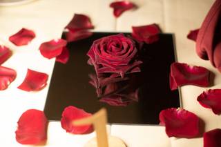 Honey Bunch Bouquets - 14