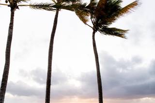 Amanda Basteen Photography - 44