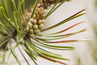 Once West Photography - 46
