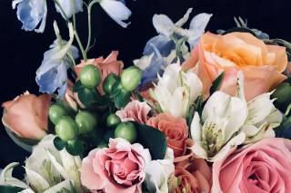 Alpha Floral - 33