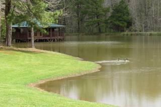 The Barn at Valhalla - 27
