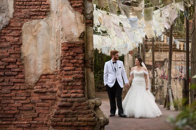 Disney Fine Art Photography & Videography - 4