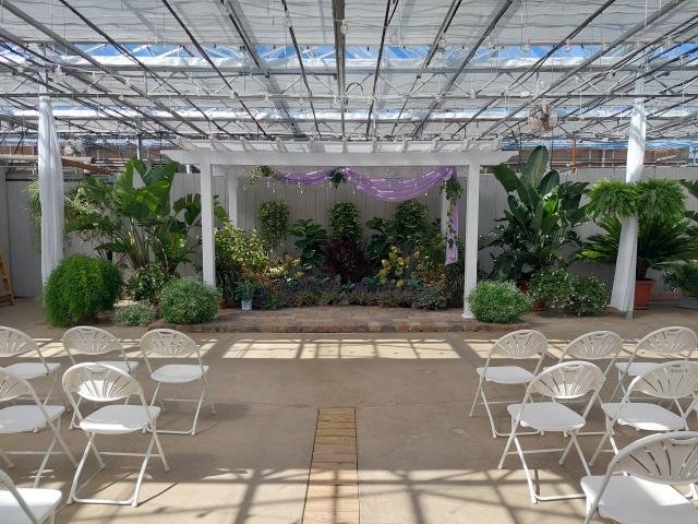 Buchwalter Greenhouse - 1