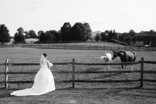 Kelly Giarrocco Photography - 41