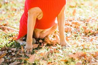 Julie Shuford Photography - 34