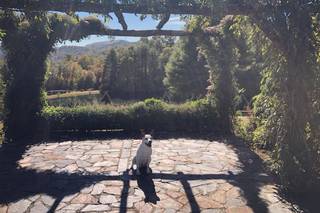 Chimney Pond Farm - 22