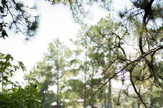 Mariah Oldacre Weddings & Lifestyle Photography - 166