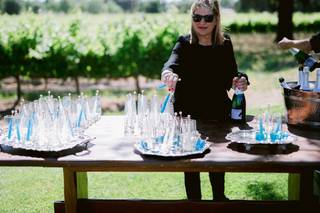 Ventura Rental Party & Events - 7