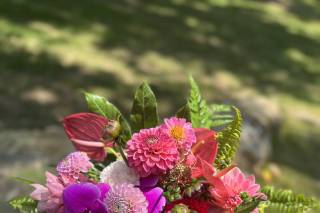 Stargazers Designs - 24