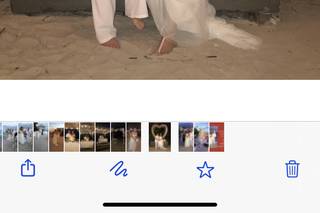 Delfin Events, LLC - 24