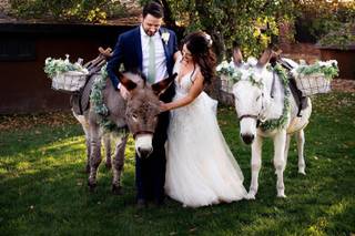 Savannah Chandler Wedding Photography - 15