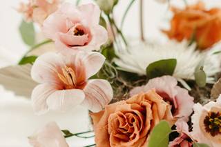 Nick Allen Photo - 13