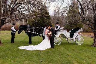 Wrights Mill Farm - 19