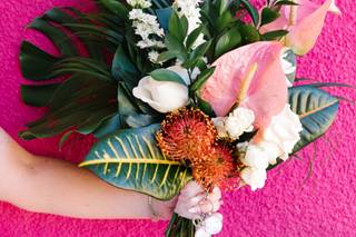 Lovely Peonies - 138