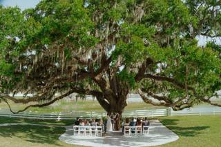 The Ginger Officiant - 48