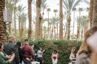 Flamingo Las Vegas Wedding Garden Chapel - 33