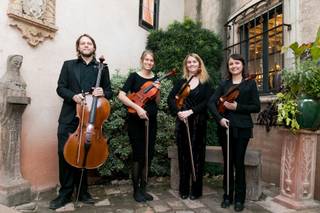 Skylight City String Quartet - 6